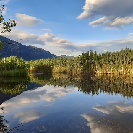 Haus Seewald 아파트 *