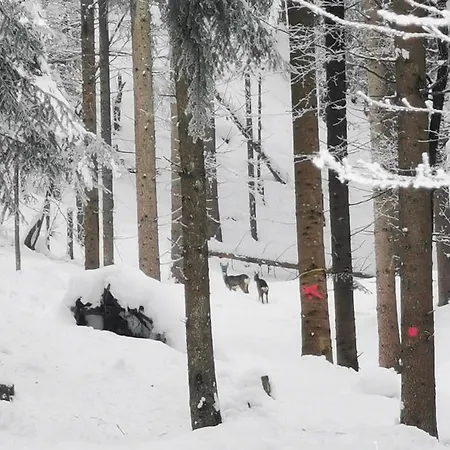 Haus Seewald Passriach