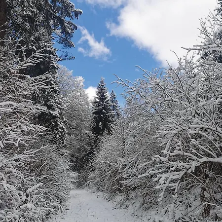 Haus Seewald Apartamento