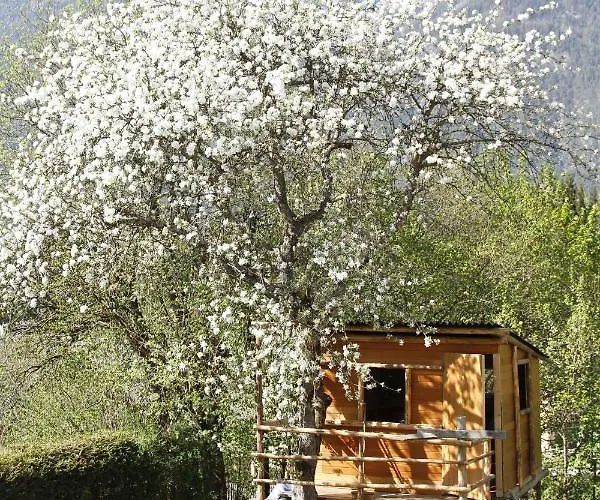 Apartment Haus Seewald *