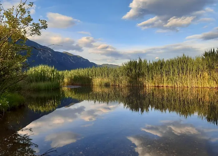 Haus Seewald Appartement *