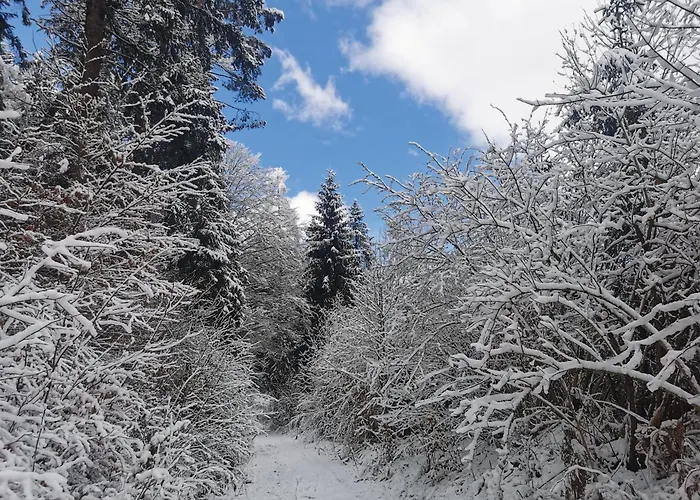 Haus Seewald Apartment